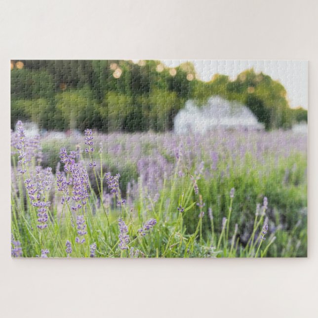 Tranquil Lavender Field Puzzle (Horizontal)