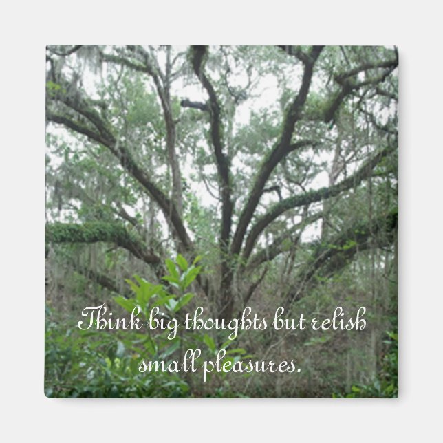 Tranquil Tree Magnet (Vorne)