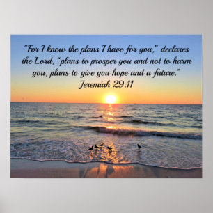 TRANQUIL UND CALM JEREMIAH 29:11 SONNENREISE POSTER
