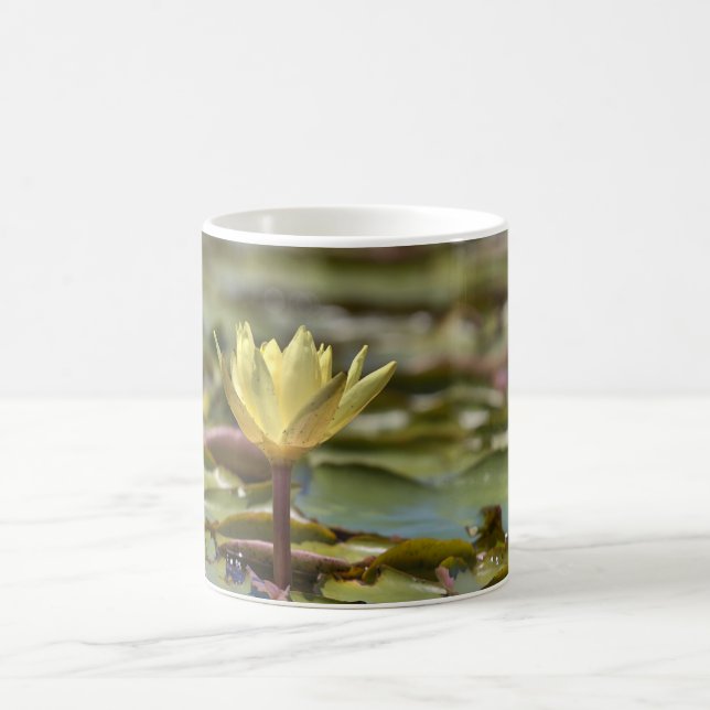 Tranquil Water Lily Coffee Mug – Nature Photograph Kaffeetasse (Mittel)