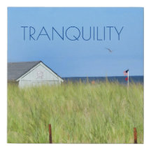 Tranquility Beach Grasses Blue Sky Flag