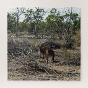 Tranquisiter Moment: Australisches Kangaroo in Bil Puzzle