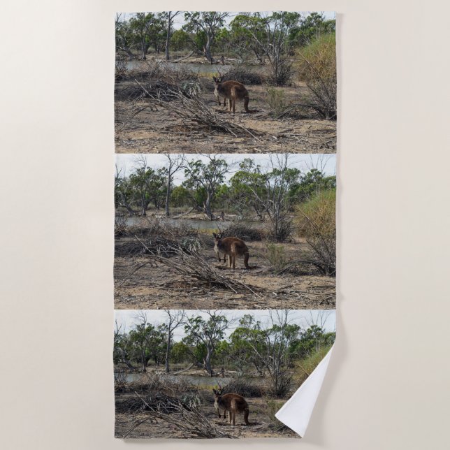 Tranquisiter Moment: Australisches Kangaroo in Bil Strandtuch (Vorderseite)