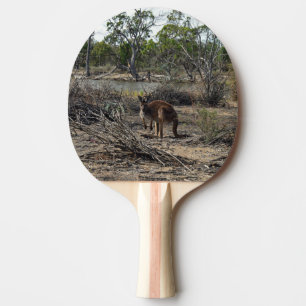 Tranquisiter Moment: Australisches Kangaroo in Bil Tischtennis Schläger