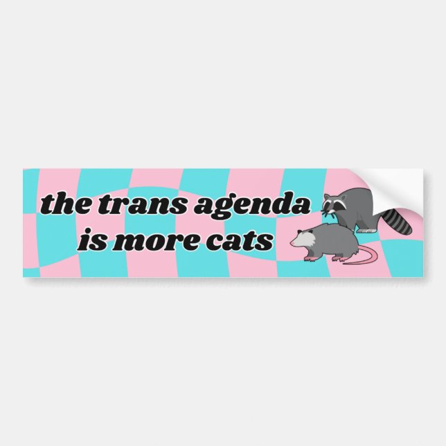Trans-Agenda-Autoaufkleber Autoaufkleber (Vorne)