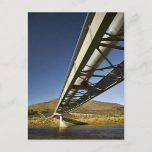 Trans-Alaska-Ölpipeline durch die Südgabel Koyu Postkarte