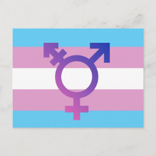 TRANS FLAG ORIGINAL MIT SYMBOL -.png Postkarte