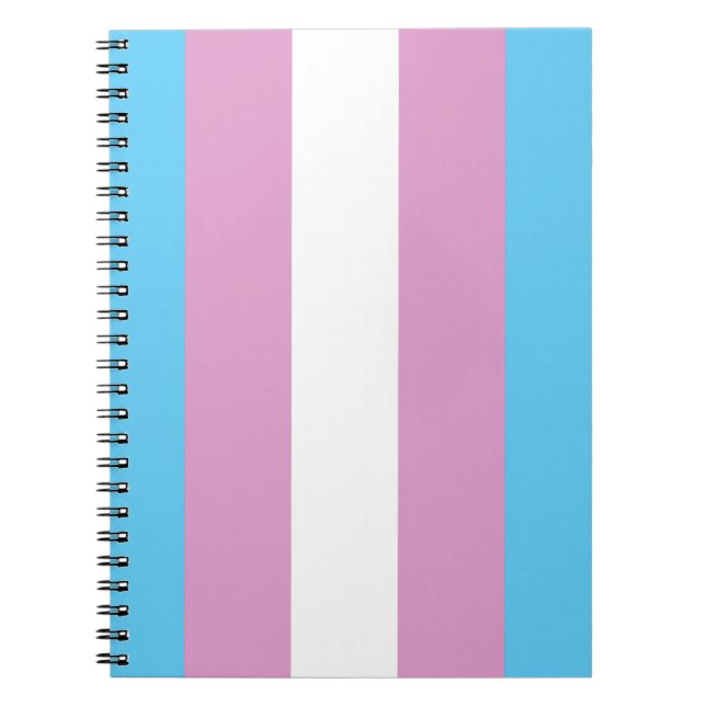 TRANS FLAG ORIGINAL -.pnng Notizblock (Vorderseite)