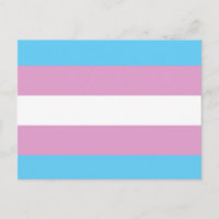 TRANS FLAG ORIGINAL -.pnng