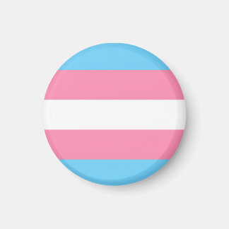 Trans Flagge auf Magnet