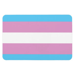 TRANS FLAGGE ORIGINAL -.png Magnet