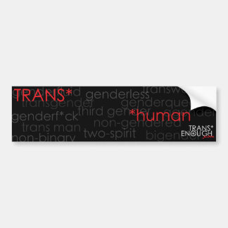 trans* Mensch Autoaufkleber