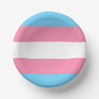 trans paper plate party decor pappteller