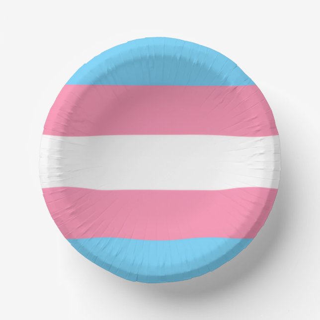 trans paper plate party decor pappteller (Vorderseite)