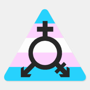 Trans Pride Aufkleber - Dreieck mit Symbol