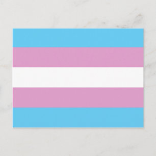 Trans Pride-Flagge - (2) Postkarte