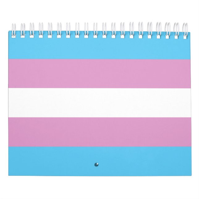 Trans-Pride-Markierung Kalender (Titelbild)