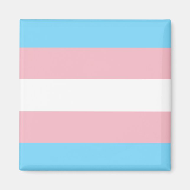 Trans-Pride-Markierung Magnet (Vorne)