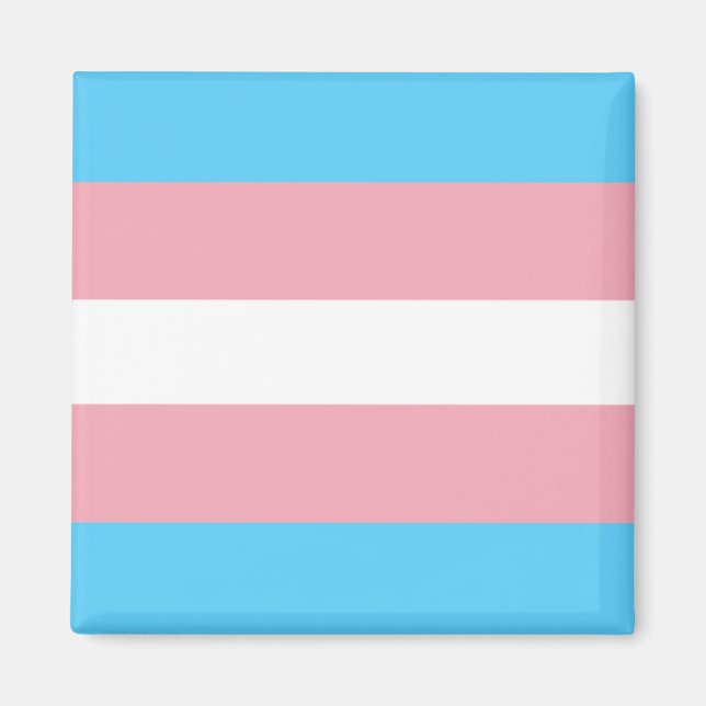 Trans-Pride-Markierung Magnet (Vorne)