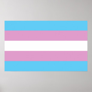 Trans-Pride-Markierung Poster