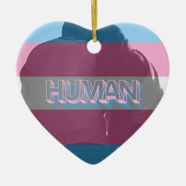 Trans Pride Ornament (Vorne)