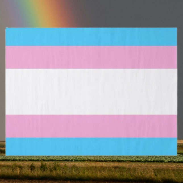 Trans Pride Tissue Delight Seidenpapier (Von Creator hochgeladen)