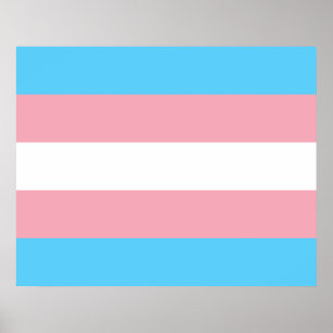 Trans Pride (Transgender Pride) Flag Poster