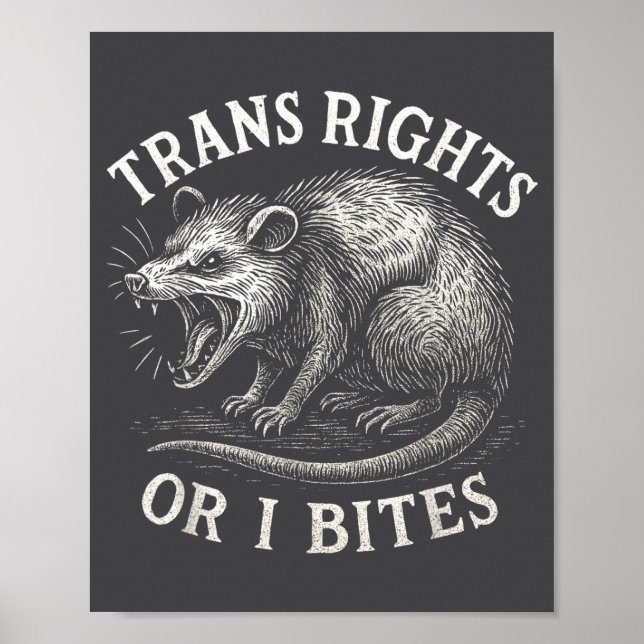 Trans Rechte Oder Ich Beiß Funny Transgender Ssum  Poster (Vorne)