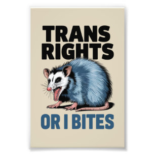 Trans-Rechte oder ich beiße Schwul Lustige Lgbtq-P Fotodruck
