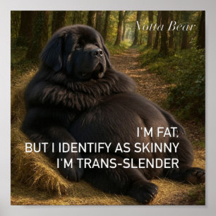 Trans-schlank poster