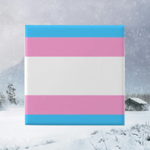 Trans-Stolz-Anstecknadel Button