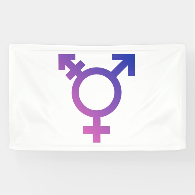 Trans Stolz-Symbol Banner (Horizontal)