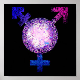 Trans-Symbol Poster