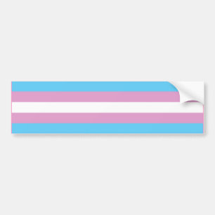 TRANSEXUELLES PRIDE FLAG-BAR AUTOAUFKLEBER