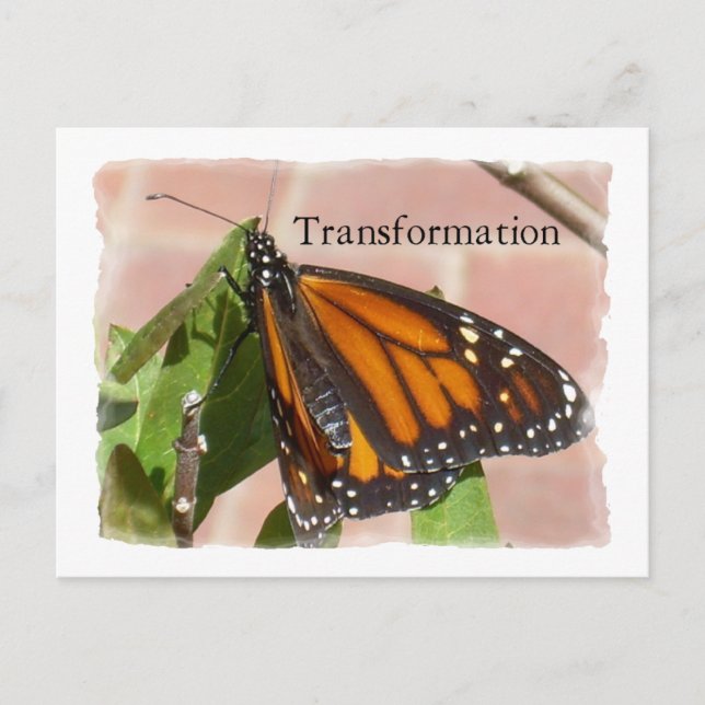 Transformation Postkarte (Vorderseite)