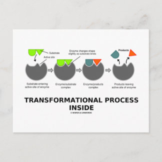 Transformationsprozess-Innenteil (Enzymsubstrat) Postkarte