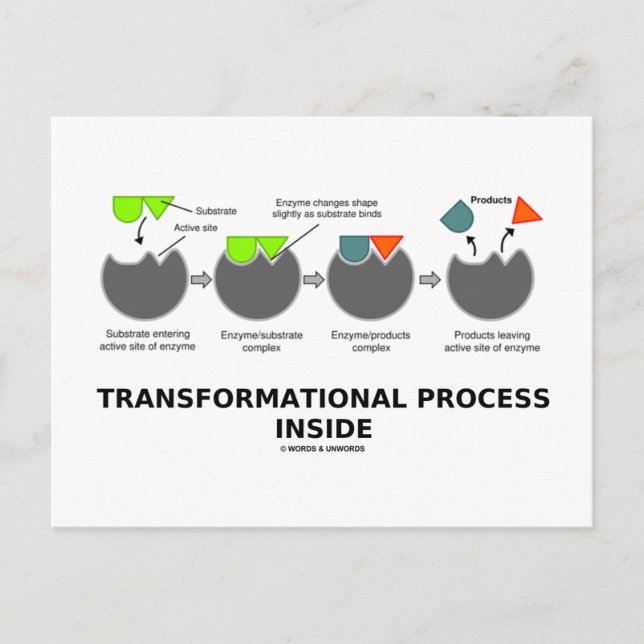 Transformationsprozess-Innenteil (Enzymsubstrat) Postkarte (Vorderseite)