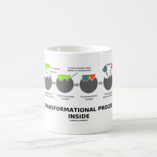 Transformationsprozess-Innenteil (Enzymsubstrat) Tasse