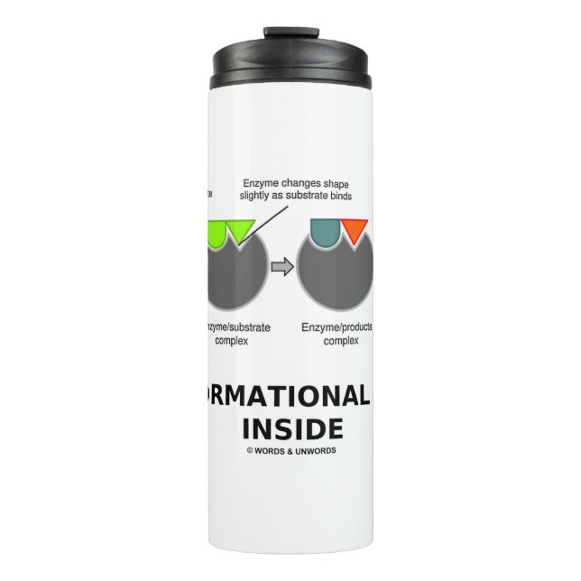 Transformationsprozess-Inside-Enzymsubstrat Thermosbecher (Vorderseite)