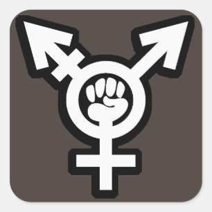Transgender-Aufkleber-Set Quadratischer Aufkleber
