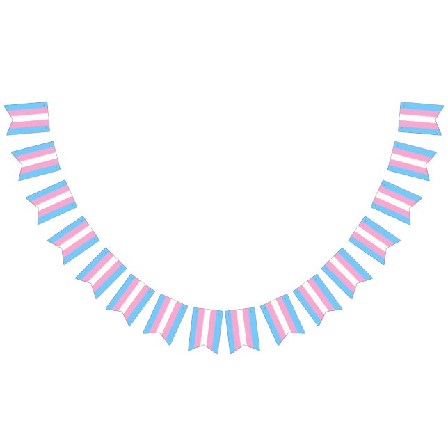 Transgender Flag Bunting Banner LGBT Party (Alle)