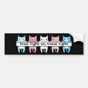 Transgender Flag Cat Trans Rights sind Menschenrec Autoaufkleber