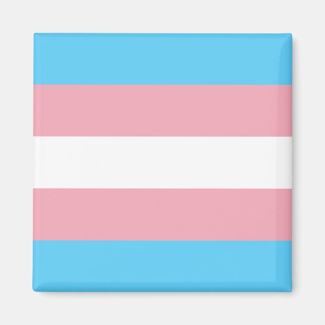 Transgender-Flag Magnet (Vorne)