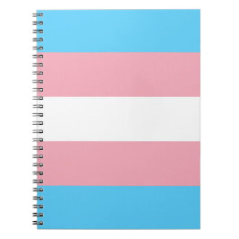 Transgender-Flag Notizblock