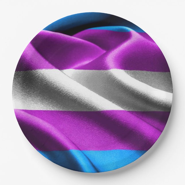 Transgender-Flag Pappteller (Vorderseite)