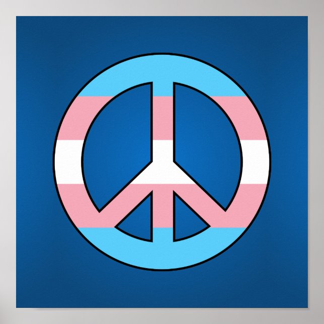 Transgender-Flag-Plakat Poster (Vorne)