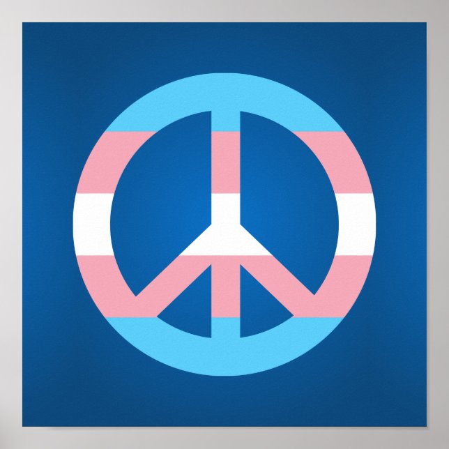 Transgender-Flag-Plakat Poster (Vorne)