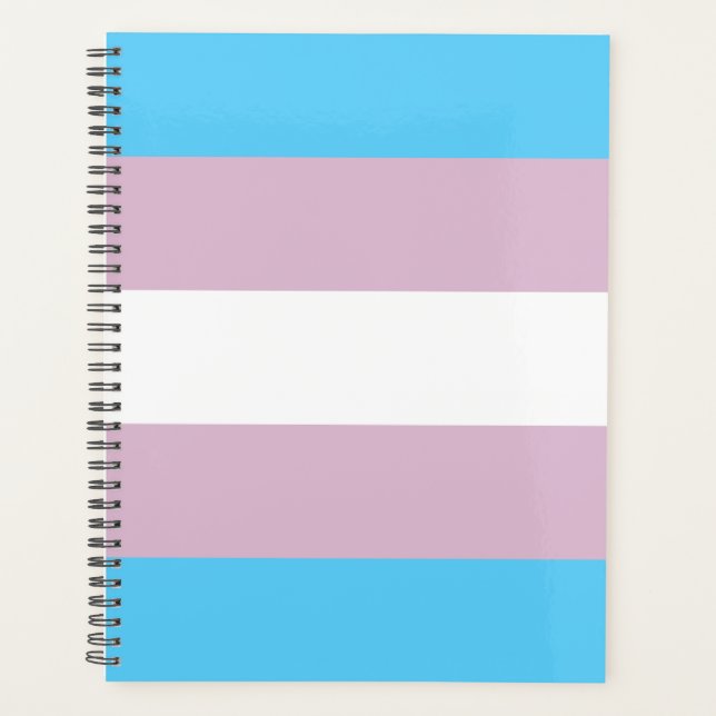 Transgender-Flag-Plane Planer (Vorderseite)