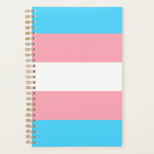 Transgender-Flag Planer