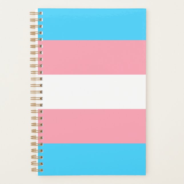Transgender-Flag Planer (Vorderseite)